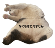 760541434
