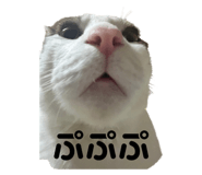 760541448
