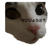 760541450