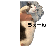 760541461