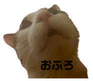 760541463