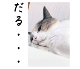 760542431