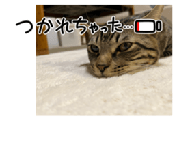 760544637