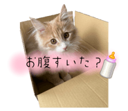760546930