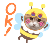 760546932