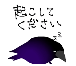 760548755
