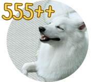 760550123