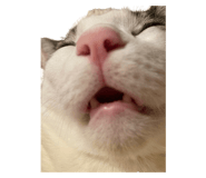 760551686