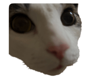 760551704