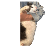 760551715