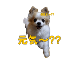 760554003