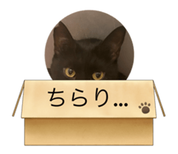 760556662