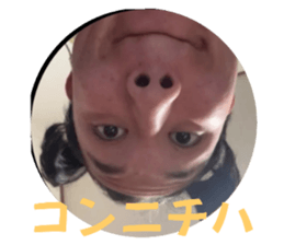 760575088