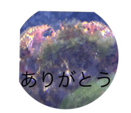 760575252