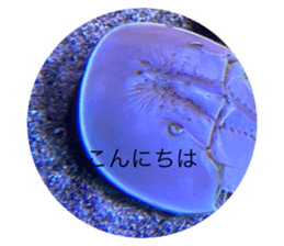 760575254