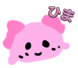 760580116