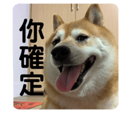 760603409
