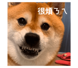 760603411