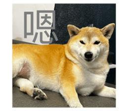 760603414
