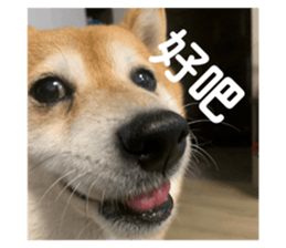 760603415