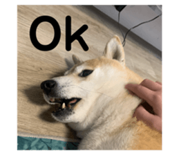 760603416