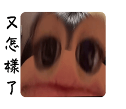 760647826