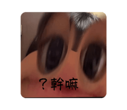 760647830