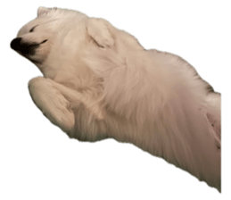 760656714