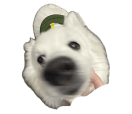 760656720