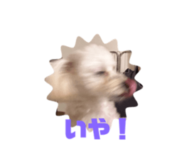 760657605