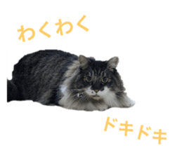 760657829