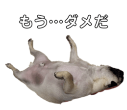 760662559