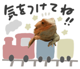 760664995