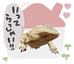 760664996