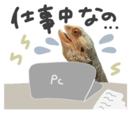 760665006