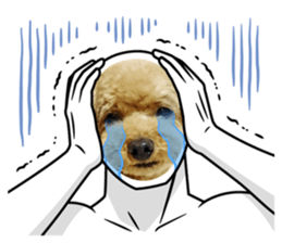 760668255