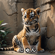 760686394