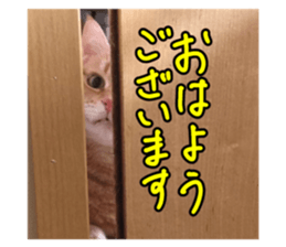 760717882