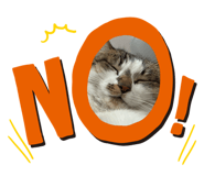 760718923