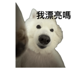 760726605