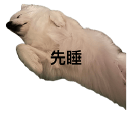 760726608
