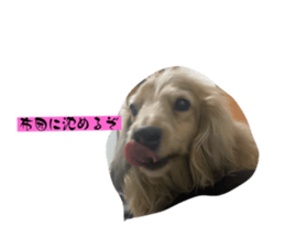760727111