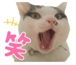 760727920