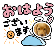 760734044
