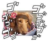 760734052