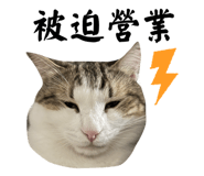 760738344