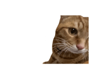 760738724