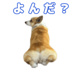 760747682