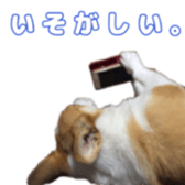 760747688