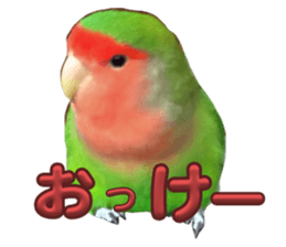 760760025